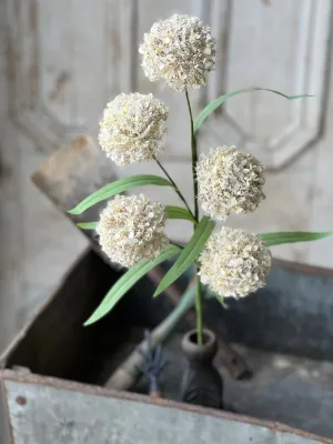 Surcee Buds Bush | 24" | Cream | NOT CURRENTLY IN STOCK | ETA January